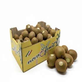  Italy - Green Kiwi 10 kg BOX 