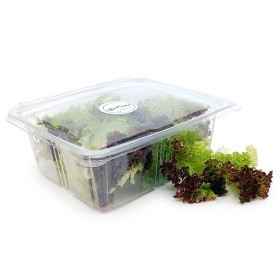  Local - Lettuce Mix 100 g PKT 
