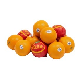  Egypt -  Navel Orange Kg 