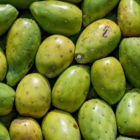  Prickly cactus Pears Kg - Colombian 