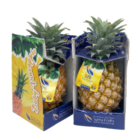  SUMA | Baby pineapple  - Sri Lanka 