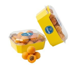  Chiquita | Australian Apricot 450 g PKT 