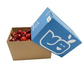  France -Red Apple 18Kg BOX 