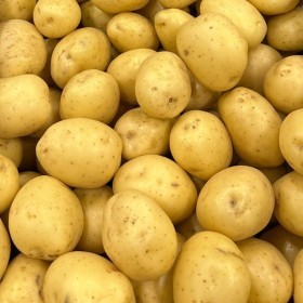  بطاطا مدوره بيضاء بالكيلو - امريكي 