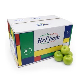  Spain - Green Apple 18 kg Box 