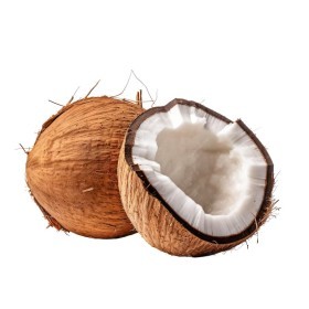  Coconut PC - India 