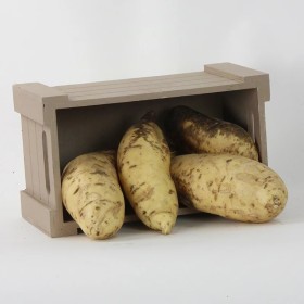  Sweet Potato (Cream) - USA 