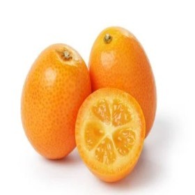  Lebanon -Kumquat Kg 