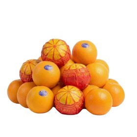  Egypt - Orange Valencia  Kg 