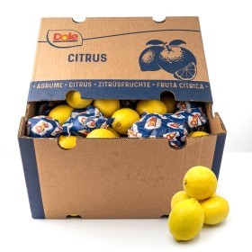 Africa  | Lemon 15 Kg Box 