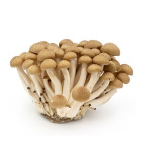  Brown Shimeji Mushroom 250g PKT - Thailand 