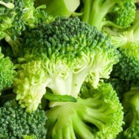  Spain Broccoli Kg 