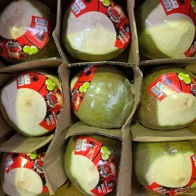  Easy Open Coconut PC - Thailand 