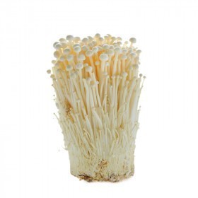  Thailand- Enoki Mushroom 100g PKT 