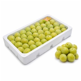 Labanon - White Plum 1.800 k PKT 