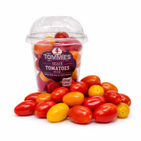  Holland - Mix Cherry Tomato Shaker 250 g 