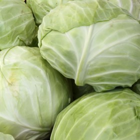  Local Cabbage White Kg 