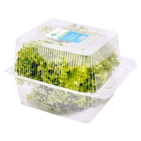  Local - Lettuce Whole Head 200 G PKT 