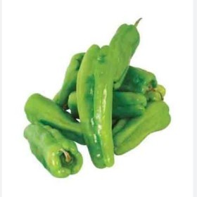  Turkish- Green Capsicum Kg 
