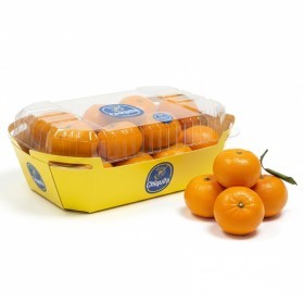  CHIQUITA | Baby Mandarin 750 g PKT - Chile 