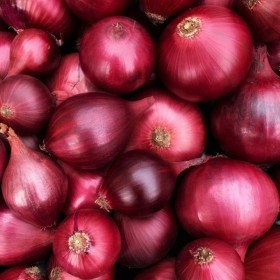  Indian Red Onion Kg 