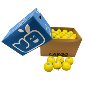  France - Golden Apple 18 Kg Box 