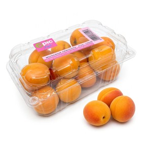  South Africa - Apricot 500 gm PKT 