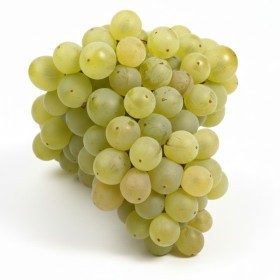 Lebanon  - White Grapes Kg 