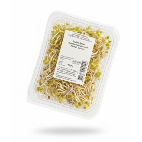  Holland - Radish Sprouts 100g PKT 