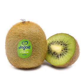  Jingold | Kiwi Green Kg -Italy 