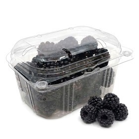  Local - BlackBerry 250 g PKT 