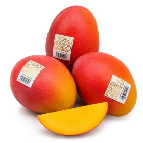  Spain - Mango Osten KG 
