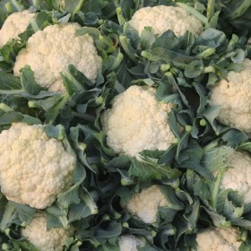  Local Cauliflower Kg 