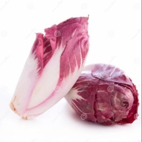  Chicory Red Kg - Holland 
