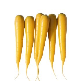  Holland - Yellow Carrots Kg 