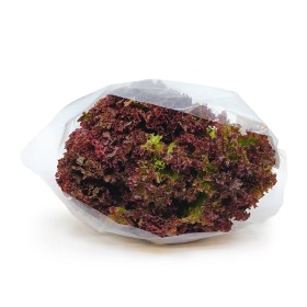  Local - Lollo Rosso 200 g PKT 