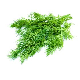  Morocco Fresh Dill 100g Pkt 
