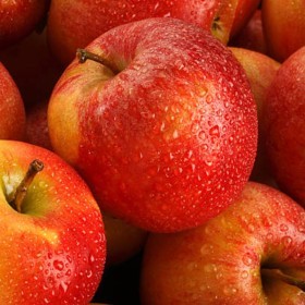  Apples Royal Gala 18kg Box - France 