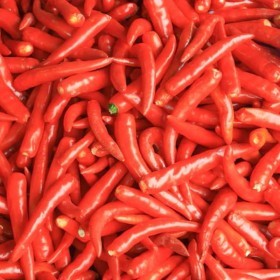  Hot Red Chili 125g PKT - Thailand 