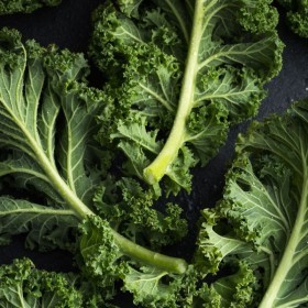  خس كيل بالكيلو - امريكي 