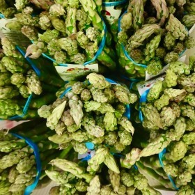  اسباراجوس بالكيلو - مكسيكي 