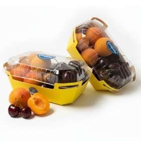  CHIQUITA | Apricots & Cherries Mixed 550g PKT 