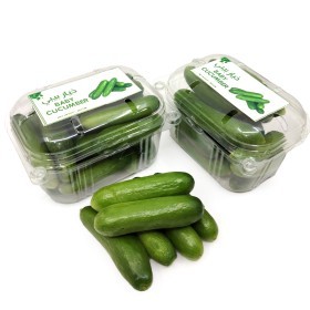  Baby Cucumbers (LOCAL)/PKT 