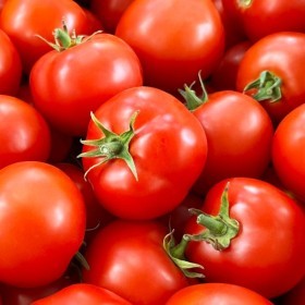  Local Tomato Kg 