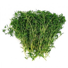  Local - Thyme 100 g PKT 