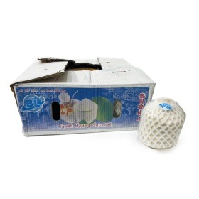  Thailand Peeled Coconut  9 Pcs Box 