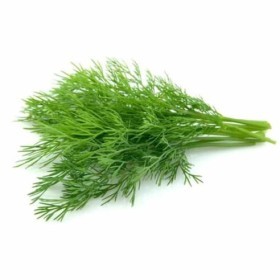 Italy - Fresh Dill 100 g PKT 