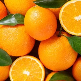  African Orange Valencia KG 