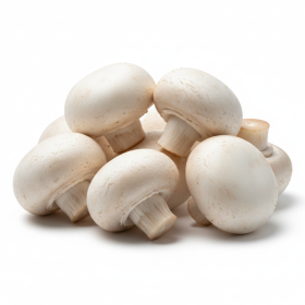  Holland - white Mushroom 250gm PKT 