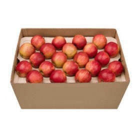  Apple Royal Gala 18KG BOX - USA 